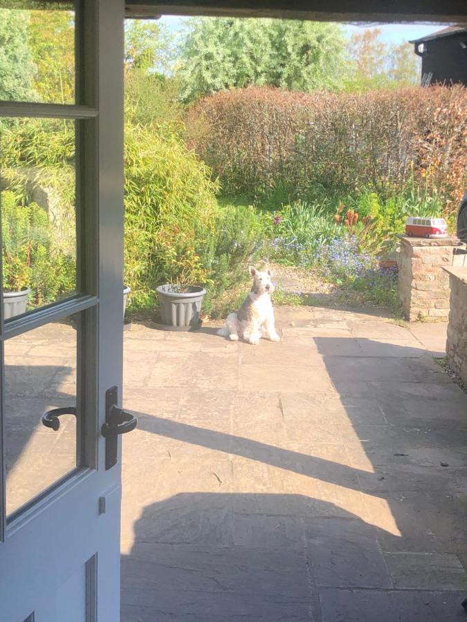 The Annexe At Walnut Tree Cottage Hope under Dinmore Esterno foto